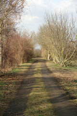 landwirtschaftlicher Weg