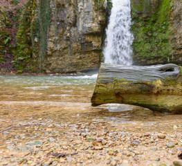 Fototapeta premium Wasserfall hinter Baumstamm