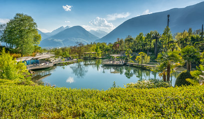 the Botanic Gardens of Trauttmansdorff Castle, Merano, south tyrol, Italy, offer many attractions with botanical species and varieties of plants from all over the world. - obrazy, fototapety, plakaty