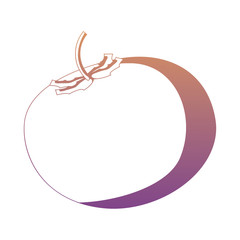 tomato vegetable icon