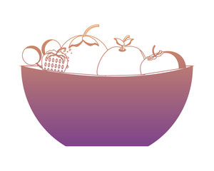 bowl with fruits icon