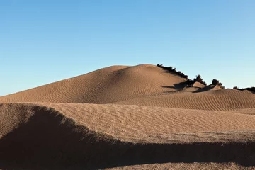Foto op Aluminium Dunes and barkhans Sahara desert largest hot desert north African continent of Tunis © themanwhophoto