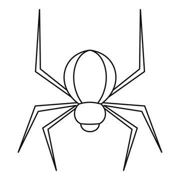 Spider insect icon, outline style