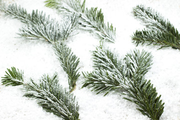 Branches of a Christmas tree in the snow. Close-up