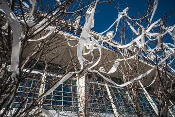 Cleveland Browns Perfect Season Parade