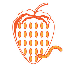 strawberry fruit icon