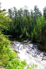Urt&uuml;mlicher Fluss in kanadischer Wildnis