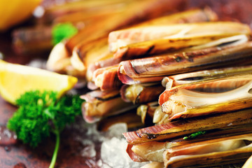 Fresh raw octopus on ice, grey concrete background. Top view, copy space. Square crop