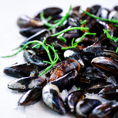 Boiled mussels with seaweed, sea plants on white stone concrete background. Top view, copy space. Square crop
