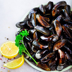 Boiled mussels with seaweed, sea plants on white stone concrete background. Top view, copy space. Square crop