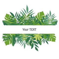 Banner with tropical leaves. The design for the background template, advertising materials, labels, packaging. Vector illustration.