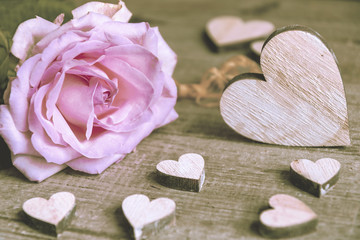 Fototapeta premium Einzelne Rose mit Herzen, Grußkarte, Glückwünsche