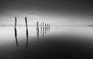 Scène calme avec reflet de piliers en bois en noir et blanc sur une côte à Pitas, Sabah, Bornéo, Malaisie orientale