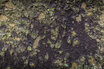 Texture of old resin and metal.