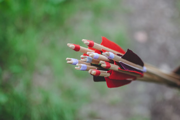 Red feather arrows in the quiver 