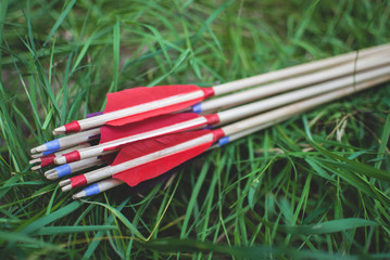 Red wooden arrows laying on green summer grass