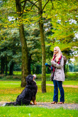 Girl in autumn park training her dog in obedience giving the sit command