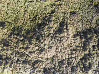 Looking down on coastal sand dunes. Aerial image. A view straight down on the sand dune and vegetation around Porthmadog beach, Wales, UK. Taken from the air but a drone.