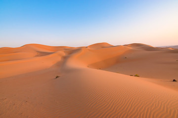 Fototapeta na wymiar Desert sand dunes landscape.