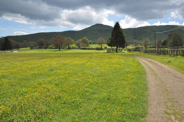 Prato primaverile con sentiero, percorso e recinzione e sullo sfondo alberi, colline. Pratoni del Vivaro, Castelli Romani, dazio, Italia.