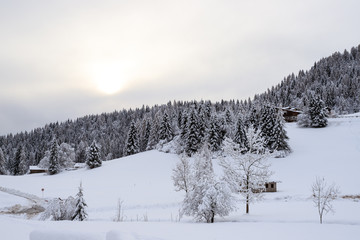paesaggio invernale in Val Canali, nel parco naturale di Paneveggio - Trentino