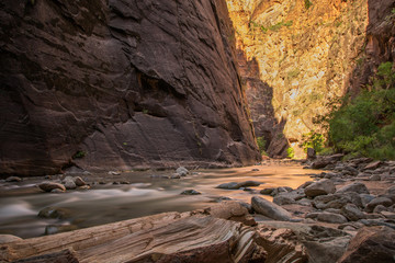Zion National Park 