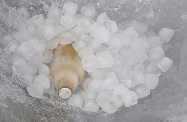ice beer, ice, frozen beer