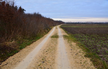 Fototapeta na wymiar droga przez pola i las