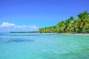 Obraz na płótnie Canvas Tropical beach lagoon with palm trees. Thailand tourism panorama of island and ocean horizon