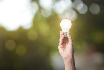 hand holding light bulb. concept green energy.