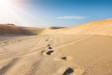 Fototapeta na wymiar Spuren in der Sandwüste von Katar, nahe der Haupstadt der Doha