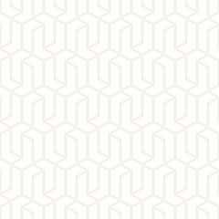 Vector seamless subtle stripes pattern. Modern stylish texture with monochrome trellis. Repeating geometric hexagonal grid. Simple lattice graphic design.