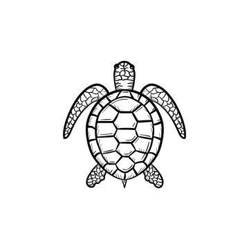 Vector hand drawn Turtle outline doodle icon. Turtle sketch illustration for print, web, mobile and infographics isolated on white background.