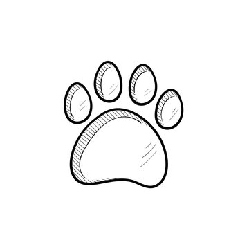 Vector hand drawn Paw print outline doodle icon. Paw print sketch illustration for print, web, mobile and infographics isolated on white background.