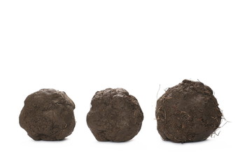 soil balls isolated on white background, with clipping path