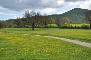 Prato primaverile in centro equestre, con alberi, casette, percorso e sullo sfondo colline di boschi. Pratoni del Vivaro, Castelli Romani, Lazio, Italia