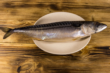 Salted scomber fish on a plate. Whole mackerel on wooden table