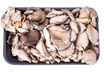 Bunch of fresh oyster mushrooms in black package