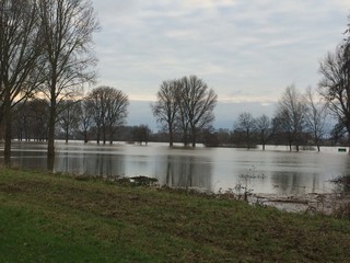 Überschwemmung am Fluss