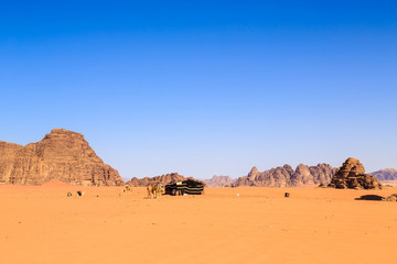 Fototapeta na wymiar Camels at a bedouin tent in the middle of the Wadi Rum desert in Jordan