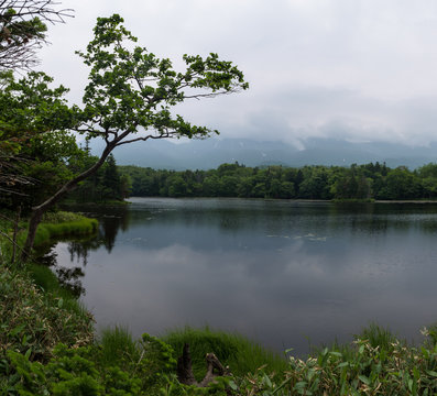 Beautiful quiet landscapes with reflecting waters of the Shiretoko 5-lakes, Shiretoko National Park, Hokkaido, Japan