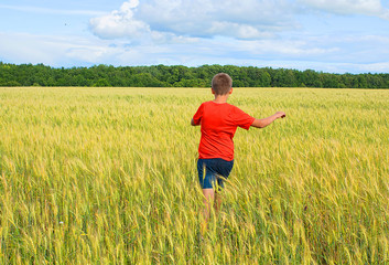 The boy runs across the field with wheat, with grain.  Beautiful blue sky, yellow field and cheerful boy view from be