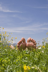 Relaxen in der Blumenwiese
