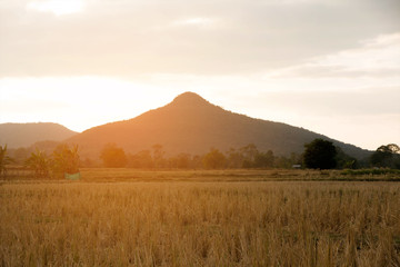 Obraz premium Landscape mountain with sunset beautiful nature 