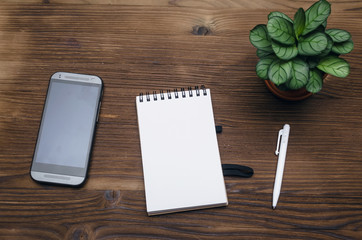 Mobile phone with blank screen, notepad with copy space and green plant tree on office desk table top view.