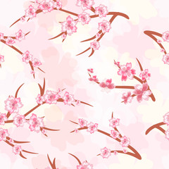 Seamless background - cherry blossoms. Branches of a cherry blossoming.