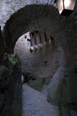 polish castles and palaces-castle Czocha © amadeusz