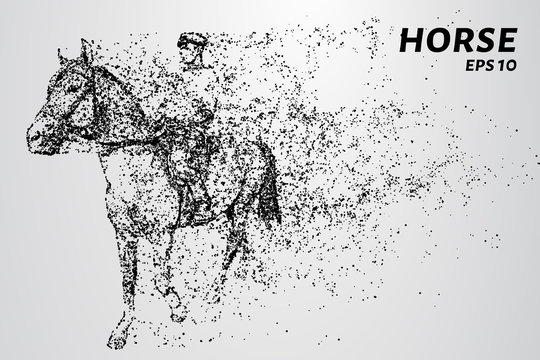 Horse of the particles. The horse is made up of little circles