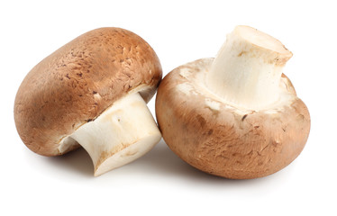 Fresh champignon mushrooms isolated on white background