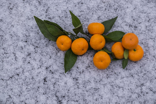 Tangerines with green leaves, lie on the first snow. © Александр Овсянников